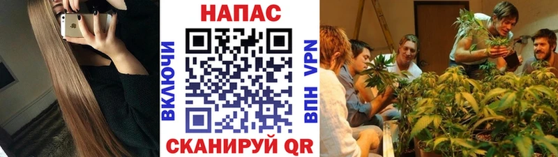 ГАШ Светлогорск