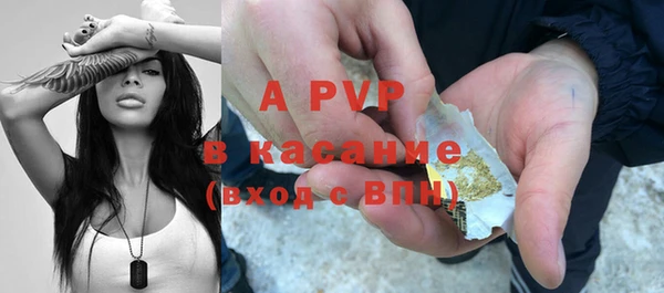 СК Покачи
