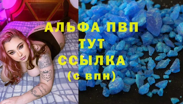 СК Покачи