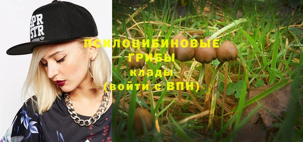 синтетический гашиш Кондопога
