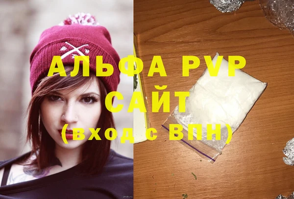 СК Покачи