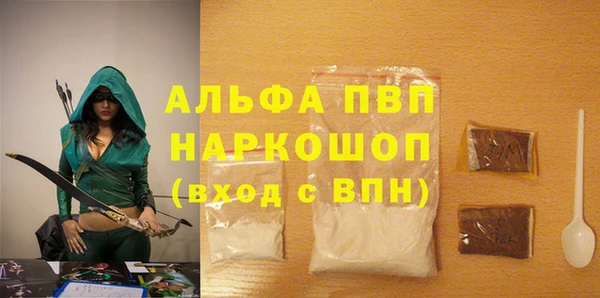 СК Покачи