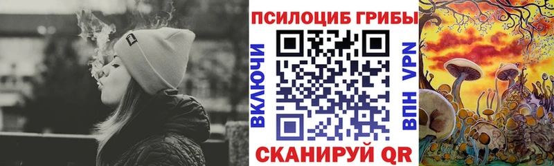 Галлюциногенные грибы Psilocybe  OMG как войти  Светлогорск 